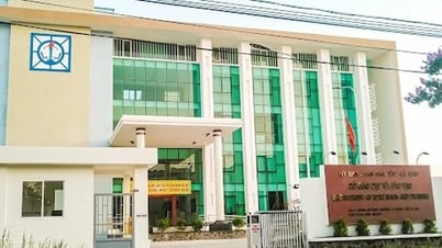 Phê bình Phó giám đốc Sở GD-ĐT Cà Mau vì sai sót trong điều chỉnh bằng cấp