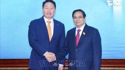 នាយករដ្ឋមន្ត្រី Pham Minh Chinh ទទួលជួបប្រធានក្រុមហ៊ុន SK Group ប្រទេសកូរ៉េ