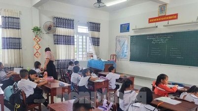 Tightening extra classes, what do parents complain about?