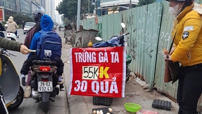 닭알이 정말 싼 가격에 팔리는데, 농부들은 뭐라고 할까요?