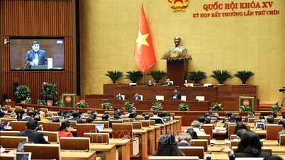 ការរំពឹងទុកសម្រាប់ការសម្រេចចិត្តគោលនយោបាយដែលដើរតួជាមូលដ្ឋានគ្រឹះសម្រាប់ដំណាក់កាលថ្មីនៃការអភិវឌ្ឍន៍