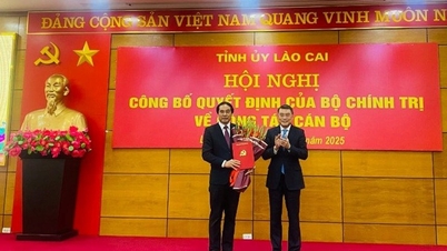 Bộ Chính trị chuẩn y ông Trịnh Xuân Trường làm Bí thư Tỉnh ủy Lào Cai nhiệm kỳ 2020-2025