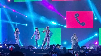 ក្រុម 2NE1 រាំបទ "See Love" ផ្ទុះអ្នកគាំទ្រ 8,000 នាក់ក្នុងរាត្រីតន្ត្រីនៅទីក្រុងហូជីមិញ