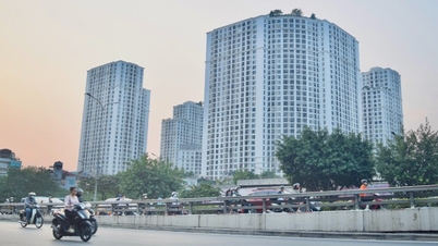 ចាប់ពីឆ្នាំ 2025 មក វិនិយោគិន "កាន់" អាផាតមិននឹងមានហានិភ័យខ្លាំង។ ទីក្រុង​ហាណូយ​ដណ្តើម​យក​ដី​ចំការ​វិញ​នៅ​លេខ ២៧៥ ង្វៀន ត្រាយ