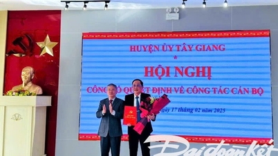 Tay Giang District Chairman becomes Thang Binh District Party Secretary