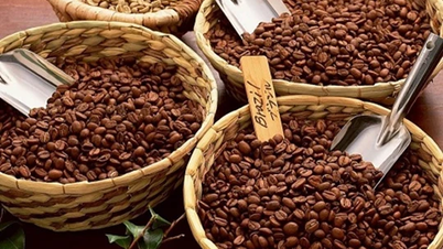 Agricultural product prices on February 17, 2025: Coffee and pepper continue to maintain high levels