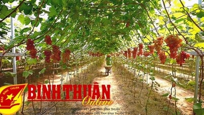 លើកកំពស់វិស័យកសិកម្មបច្ចេកវិទ្យាខ្ពស់។