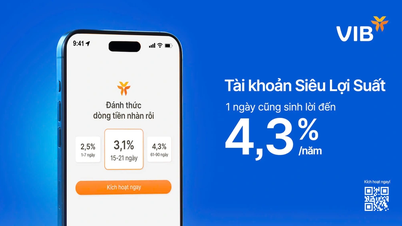 VIB launches "Super yield" account to help optimize the value of idle money