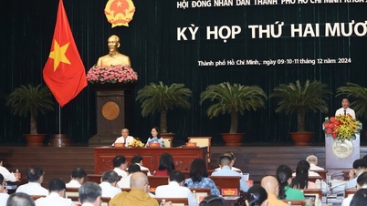គណៈកម្មាធិការអចិន្ត្រៃយ៍នៃក្រុមប្រឹក្សាប្រជាជនទីក្រុងហូជីមិញបានប្រជុំប្រធានបទដើម្បីពិភាក្សាអំពីការរៀបចំឧបករណ៍ និងបុគ្គលិក។