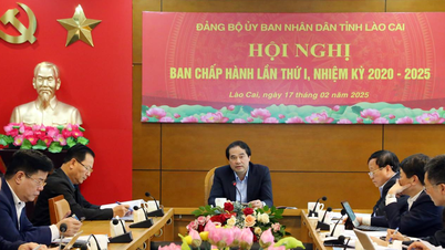 Lao Cai hielt die erste Konferenz des Provinzvorstands der Partei ab