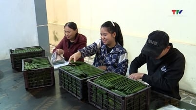 Thanh Hoa បានលើសពីផែនការផលិតផល OCOP សម្រាប់រយៈពេល 2021-2025