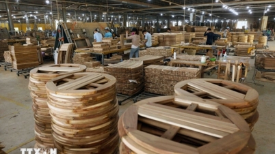 Vietnam's wood industry targets $18 billion in exports by 2025