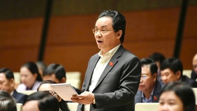Les députés de l'Assemblée nationale proposent un mécanisme d'investissement rapide dans les infrastructures au service de la science et de la technologie