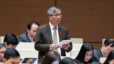 과학적 연구 결과는 쓸모없어지고 썩을 때까지 서랍 속에 보관되어 있습니다.