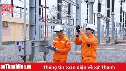 Continue to invest in a modern, synchronous power transmission grid.