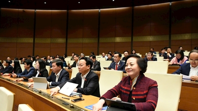 100% ĐBQH tham gia biểu quyết tán thành, thông qua Luật sửa đổi, bổ sung một số điều của Luật Tổ chức Quốc hội