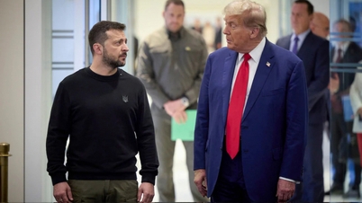 Kế hoạch hòa bình của ông Trump gây hoảng loạn ở Ukraine