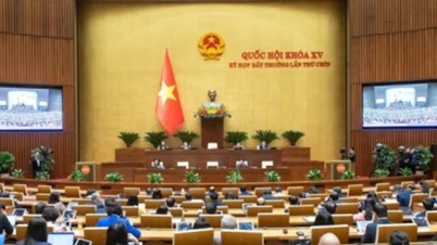 Đại biểu Quốc hội đề nghị 'mở nút thắt' cho các nhà khoa học yên tâm nghiên cứu