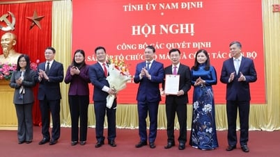 ការបញ្ចប់ប្រតិបត្តិការ ការរួមបញ្ចូលគ្នានៃអង្គការបក្សជាច្រើន ការបង្កើតគណៈកម្មាធិការបក្សថ្មីចំនួន២