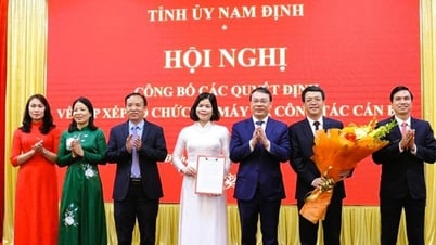 លោក Nam Dinh ប្រកាសអំពីការសម្រេចចិត្តលើរចនាសម្ព័ន្ធអង្គការ និងការងារបុគ្គលិក