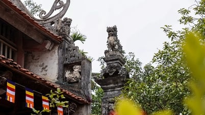 វត្ត Ba Danh ត្រូវគេបោះបង់ចោលដូចពាក្យចចាមអារ៉ាម?