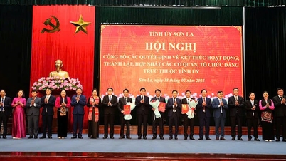 Công bố quyết định hợp nhất các cơ quan, tổ chức Đảng