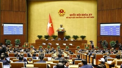 តាមរយៈ​ច្បាប់​ស្តីពី​អង្គការ​រដ្ឋាភិបាល (​ធ្វើ​វិសោធនកម្ម​)