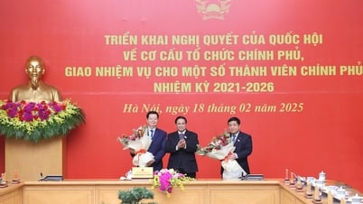 وأتعهد بأن أبذل المزيد من الجهد، وأن أبذل قصارى جهدي لمواصلة خدمة الوطن والشعب جنبًا إلى جنب مع الحكومة.