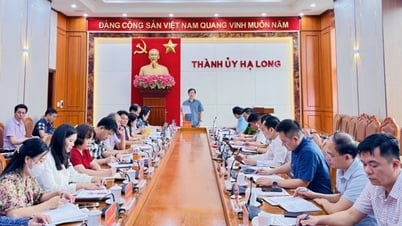 គណៈកម្មាធិការបក្សទីក្រុង Ha Long៖ ផ្តោតលើការស៊ើបការណ៍សម្ងាត់ និងសាទរក្នុងការកសាងឯកសារសមាជ