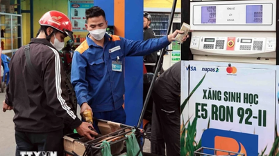 តម្លៃសាំងអាចកើនឡើងពី 0.6-2.2% ប្រសិនបើក្រសួងរួមគ្នាមិនបង្កើតមូលនិធិស្ថិរភាព។