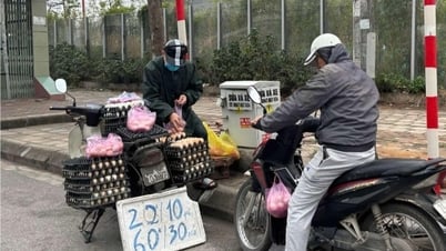 Giá trứng gà giảm mạnh