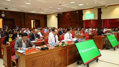 Khai mạc Kỳ họp chuyên đề lần thứ 17, HĐND tỉnh khóa X