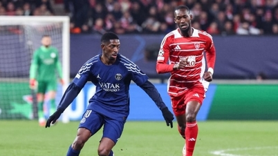 PSG vs 브레스트에 대한 코멘트 및 예측: 연승 행진 계속