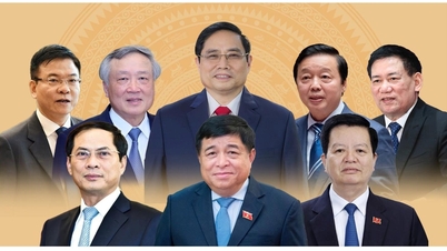 Organizational structure and apparatus of the Government after streamlining