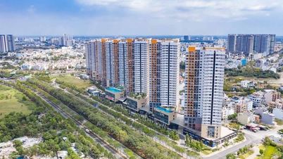 ជិត 2,900 អាផាតមិន The Sun Avenue នៃ Novaland ជិតទទួលបានសៀវភៅពណ៌ផ្កាឈូក