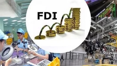 ជាងពាក់កណ្តាលនៃសហគ្រាស FDI រាយការណ៍ពីការខាតបង់