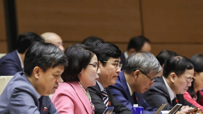 科学研究機関及び個人は、国家に損害を与えた場合、民事責任を免除される。