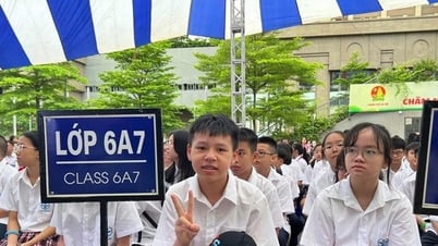 Ngóng phương án từ trường chất lượng cao