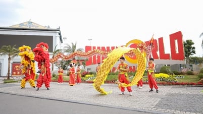 ហ្វូង​ភ្ញៀវ​ទៅ​ទស្សនា​តំបន់​ទេសចរណ៍ Quang Ninh នៅ​ដើម​រដូវ​ផ្ការីក