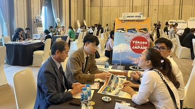 Lợi nhuận doanh nghiệp Nhật tại Việt Nam cao nhất sau đại dịch nhưng vẫn 'ngán' thủ tục hành chính