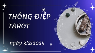 Thông điệp Tarot ngày 3/2/2025 cho 12 cung hoàng đạo: Bạch Dương bốc lá...