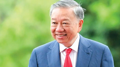 Rạng rỡ Việt Nam