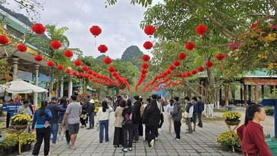 Tăng cao lượng du khách đến Quảng Bình dịp Tết