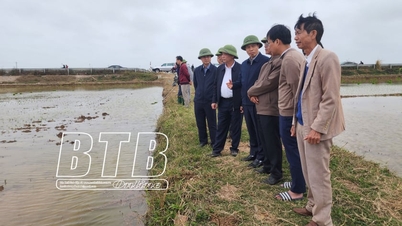 អនុលោមតាមកាលវិភាគដាំស្រូវរដូវផ្ការីក