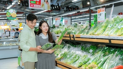 野菜や魚介類の需要が高まっています。