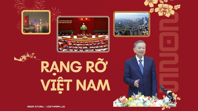 95th Anniversary of the Party's Founding: Radiant Vietnam
