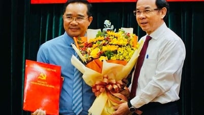 Ông Nguyễn Văn Được làm Phó bí thư Thành ủy TP.HCM
