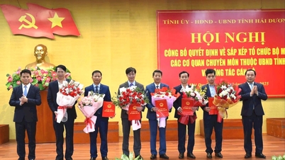 Đồng chí Nguyễn Trọng Tuệ giữ chức Giám đốc Sở Tài chính Hải Dương