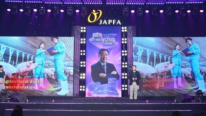 Japfa Vietnam Animal Feed เคียงข้างลูกค้าตลอดปี 2025