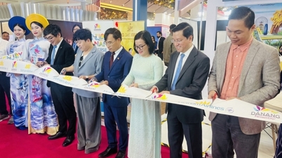 Mở rộng hợp tác phát triển du lịch Việt Nam